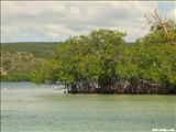 Isla de Guilligan - GUÁNICA